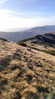 These holidays we've been enjoying hiking in beautiful nature.