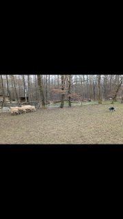 Making progress 🙌
Bass herding, Feb 24