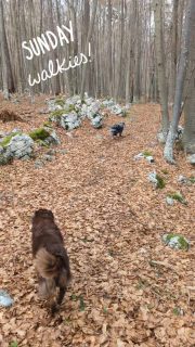 We went on a little trip today. Managed to avoid the rain and stretched our legsies 🥰