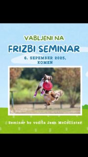 Enodnevni seminar vas bo popeljal v zabaven in razburljiv svet pasjega frizbija (znan tudi kot dogfrisbee), ki ga bo vodila najizkušenejša in najuspešnejša igralka v Sloveniji, Jean McCollister, ob pomoči avstralske ovčarke Maisie. Če se boste po preizkusu odločili, da je to primerna in prijetna aktivnost za vas in vašega psa, lahko nadaljujete s treningom v tedenskem tečaju v Komnu, Domžalah ali Mariboru.Na seminarju bomo obravnavali naslednje teme:
-osnovni meti (backhand, floater, roller)
-komunikacija: kako igrati in sodelovati s svojim pasjim partnerjem
-kateri frizbi je pravi za vas in vašega psa?
-pregled tekmovalnih disciplin in organizacij
-vprašanja in odgovoriSeminar bo sestavljen iz skupinskih metov brez psov ter individualnih treningov z vsakim vodnikom in psom. Pri delu uporabljam pristop, osredotočen na psa, ki je prijazen do živali, s poudarkom na dobrobiti in varnosti psov ter dobri komunikaciji med vodnikom in psom.Cena: 50 € za udeležence s psi in 20 € za udeležence brez psov (teorija in metanje). Število mest za udeležence s psi je omejeno.PRIJAVA: https://forms.gle/8qzYYFfzC31Duax4A#dogfrisbee #frizbi #pasjifrizbi #discdog #avstralskiovcar