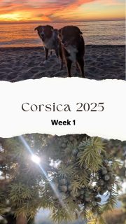 Some memories from our 1st week of camping vacation in Corsica ☺️