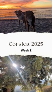 The second week of our trip was all about sandy beaches and short trips in the area.