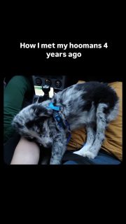 4 years ago we got Bass ❤️