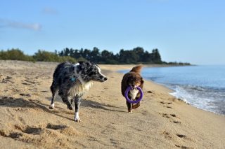 September Corsica photo dump