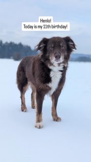 Happy birthday dearest Beamy ❤️